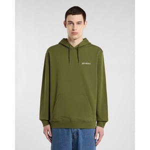 Dickies Hoodie dk0a889xk721