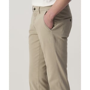Mason's Chino