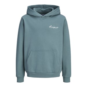 Jack & Jones Jcodust script sweat hood sa26 jnr oud