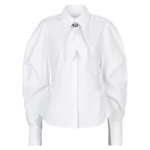 Dante 6 Blouse lange mouw 261240 eneva
