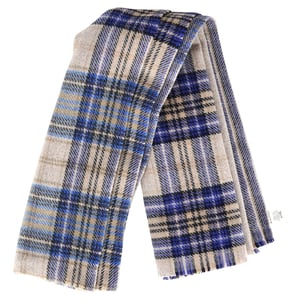 Acne Studios Plaid Printed Scarf in Multicolor Wool