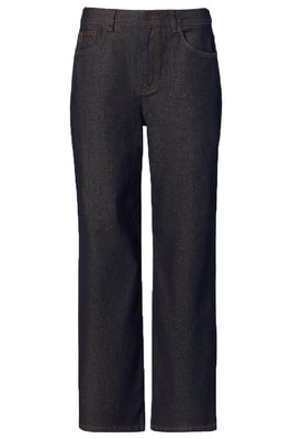 Lienna Coated Broek Brons