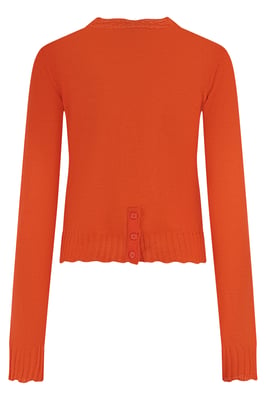 Cashmere Sweater