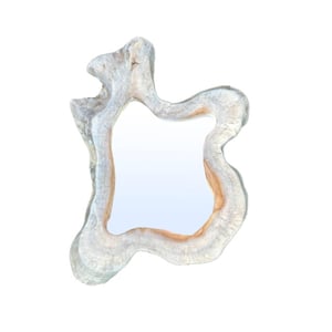 PTMD spiegel hyro - 50x10x55cm