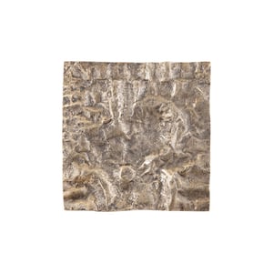 PTMD wandpaneel eogan - 50x5x50cm
