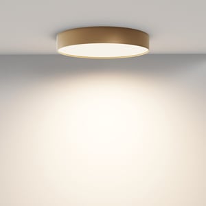 Maytoni Maytoni plafondlamp zon - 40x40x6 cm