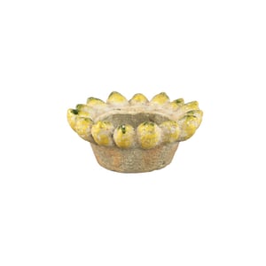 PTMD schaal fruitsy - 25x25x10.5cm