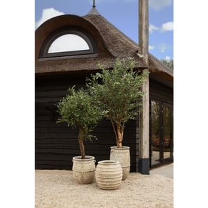 PTMD pot tony - 60x60x72cm