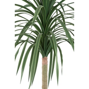 PTMD kunstplant tree - 90x90x160cm