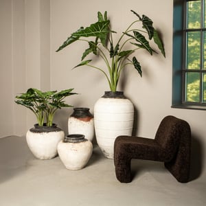 PTMD pot jinsu - 60x60x100cm