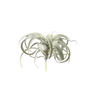 PTMD kunstplant succulent - 18x24x25cm