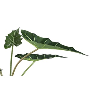 PTMD kunstplant leaves - 60x76x80cm