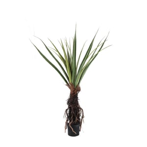 PTMD kunstplant tree - 130x130x150cm