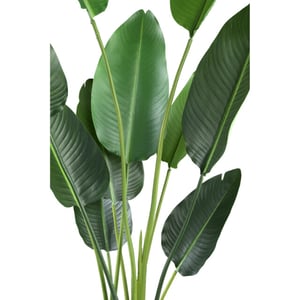 PTMD kunstplant leaves - 85x73x150cm