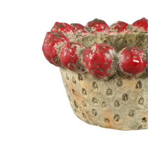 PTMD schaal fruitsy - 30x30x15cm