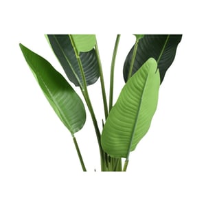 PTMD kunstplant leaves - 77x56x117cm