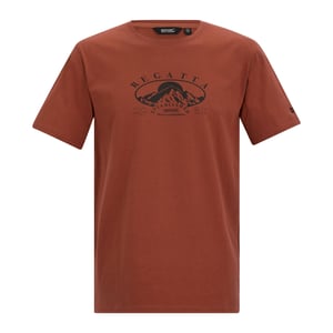 Regatta Heren Cline IX Mountain T-Shirt (Baksteen Rood)