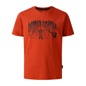 Dare 2B Kinderen Trailblazer III Natuurprint T-Shirt (Arabian Spice)