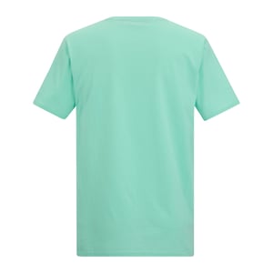 Regatta Heren Cline IX Sea Wave T-Shirt (Ijsgroen)