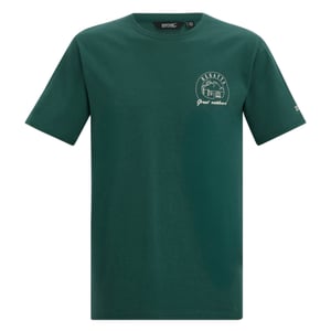 Regatta Mens Cline IX Sunrise T-Shirt (Mediterranean Green)