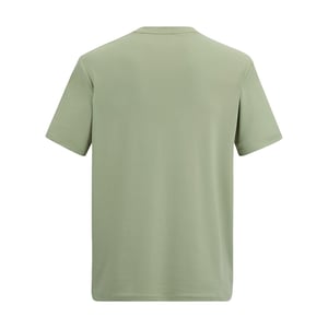 Regatta Mens Fingal Mountain T-Shirt (Light Sage)