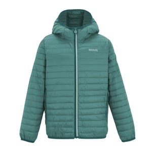 Regatta Childrens/Kids Hillpack Hooded Jacket (Ivy Mos)