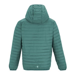 Regatta Childrens/Kids Hillpack Hooded Jacket (Ivy Mos)