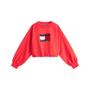 Tommy Hilfiger Sweat kg0kg09236