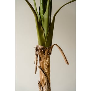 Indore Home Indore silva kunstplant banaan 120cm