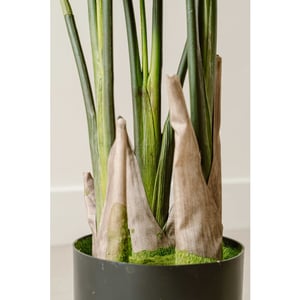 Indore Home Indore silva kunstplant strelitzia 120cm