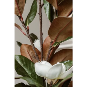 Indore Home Indore silva kunstplant magnolia 120cm