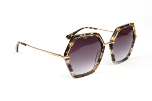 Bulget Sunglasses BG9201 C02 55