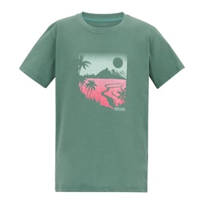 Regatta Childrens/Kids Bosley Artwork T-Shirt (Ivy Moss)