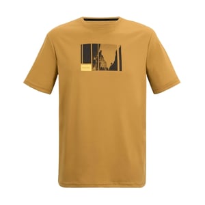 Regatta Heren Fingal Bergbeklimming T-Shirt (Hout Bruin)