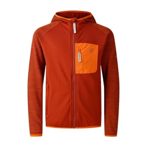 Dare 2B Expeditie Stretch Midlayer Kinderen/Kinderen (Arabische kruiden)