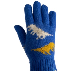 Trespass Kinder/Kids Casper Handschoenen (Blauw)