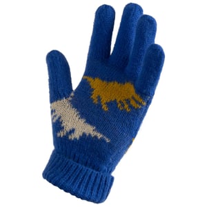Trespass Kinder/Kids Casper Handschoenen (Blauw)