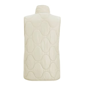 Regatta Dames Carlotte Gilet (Licht Vanille)
