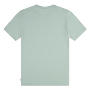 Levi's kinderen jongens t-shirts 3339.21.0003 mint
