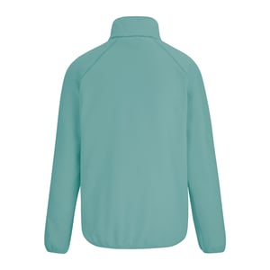 Regatta Dames/Dames Frankie Quarter Zip Fleece Top (Ivy Mos)