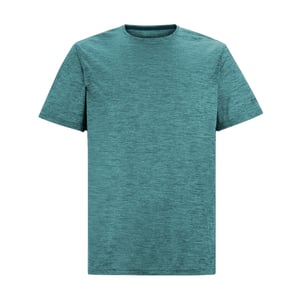 Regatta Heren Fingal Edition Marl T-Shirt (Arctic)