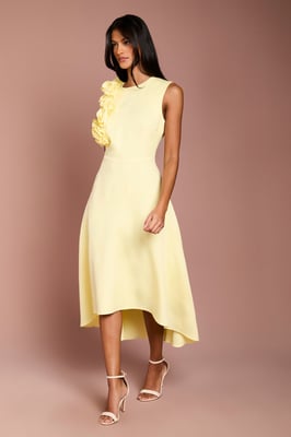 Petite 3D Corsage High Low Dress