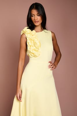 Petite 3D Corsage High Low Dress