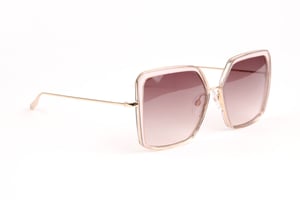 Ana Hickmann Sunglasses HI3196 T02 56