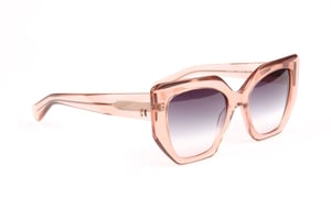Ana Hickmann Sunglasses HI9224 T02 53
