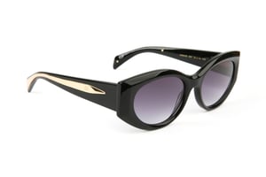 Ana Hickmann Sunglasses AH9445 A01A 53
