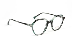 Ana Hickmann Optical Frame HI6335 G21 49