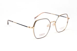 Ana Hickmann Optical Frame HIY1017T 06A 49 Titanium