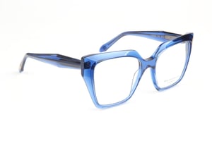 Ana Hickmann Optical Frame AH6588 T02 55