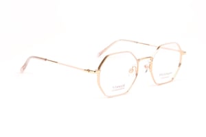 Ana Hickmann Optical Frame HIY1019T 05A 48 Titanium